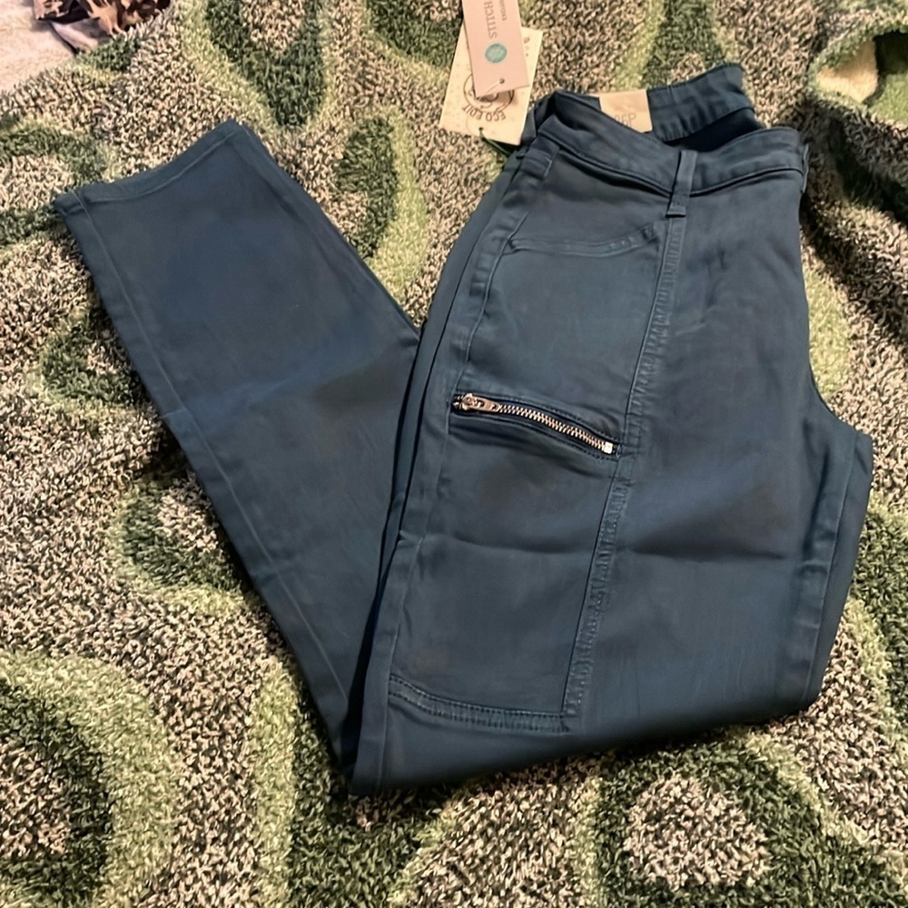 NWT Cosmic Blue Love By Stitch Fix Cargo Style Pants Sz 33
